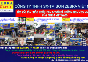SƠN ZEBRA VIỆT NAM ĐÃ BÙNG NỔ TRÊN THỊ TRƯỜNG ĐẦU NĂM 2021 NHƯ THẾ NÀO?