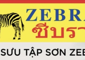 HỒ SƠ NĂNG LỰC CTY TNHH SX-TM SƠN ZEBRA VIỆT NAM.