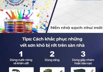 SƠN NƯỚC ZEBRA MÁCH BẠN 3 CÁCH LÀM SẠCH SƠN TRÊN NỀN NHÀ.