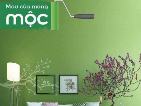MÀU SẮC MẠNG MỘC