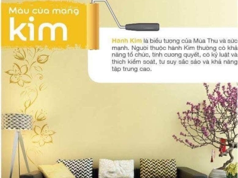 MÀU SẮC MẠNG KIM