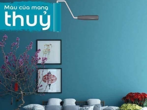 MÀU SẮC MẠNG THỦY